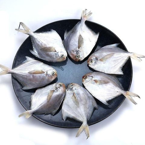 Small White Pomfret 小白鲳 (500g±)