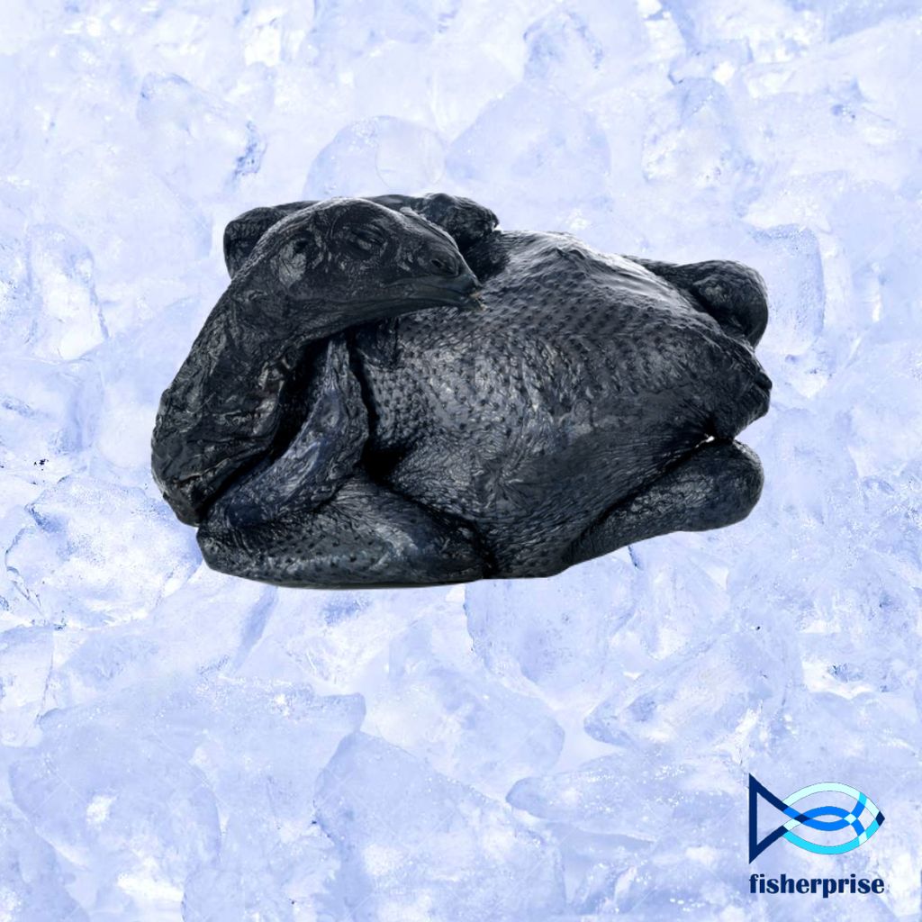 black chicken.jpg