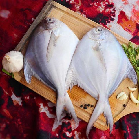 White Pomfret Fish 白鲳鱼 Ikan Bawal Putih