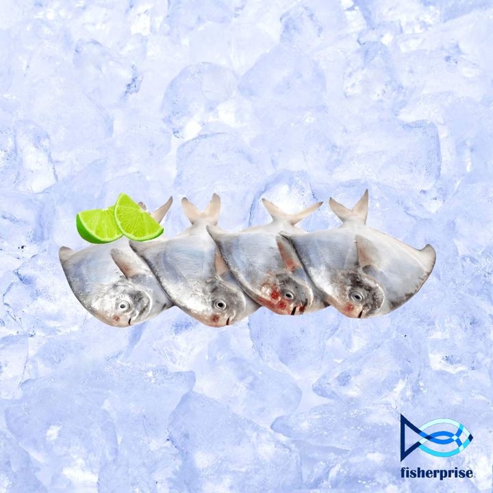 Small White Pomfret 小白鲳 (500g±)