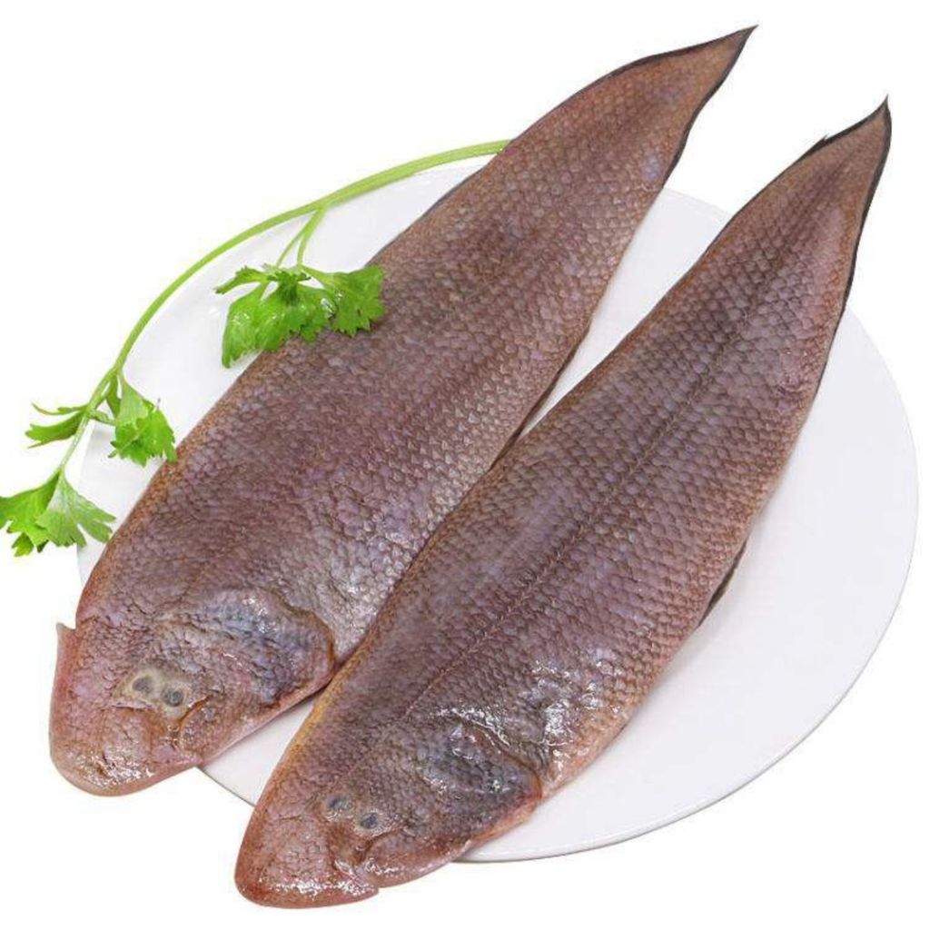 Tongue Fish 龙舌鱼 (1kg±) Ikan Lidah