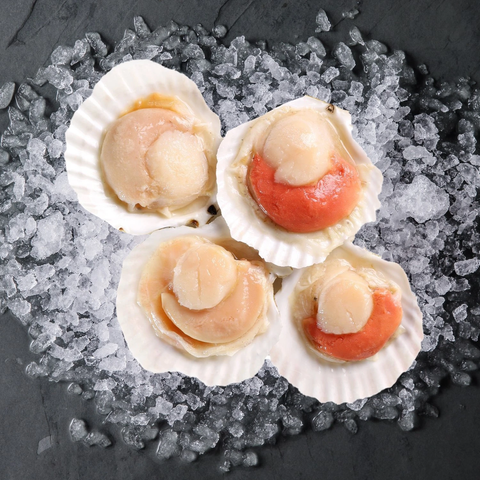 Frozen-Half-Shell-Scallop.png
