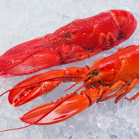 Canada Cook Lobster 500~600g.jpg