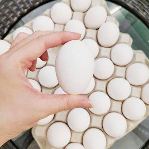 pearl egg.jpg