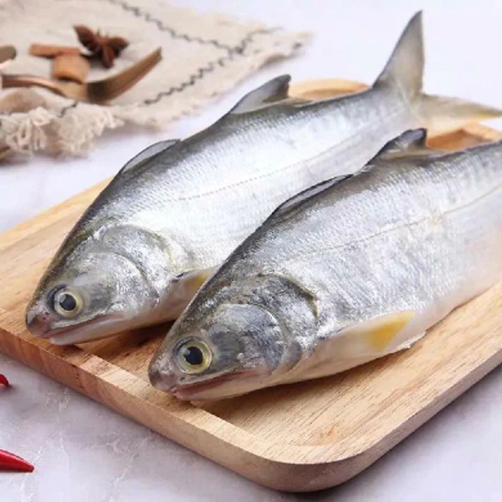 mayao fish