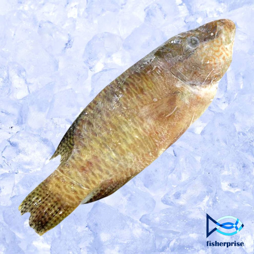 frozen sumei fish