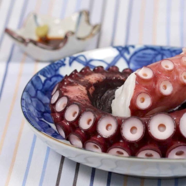 boiled-octopus-leg