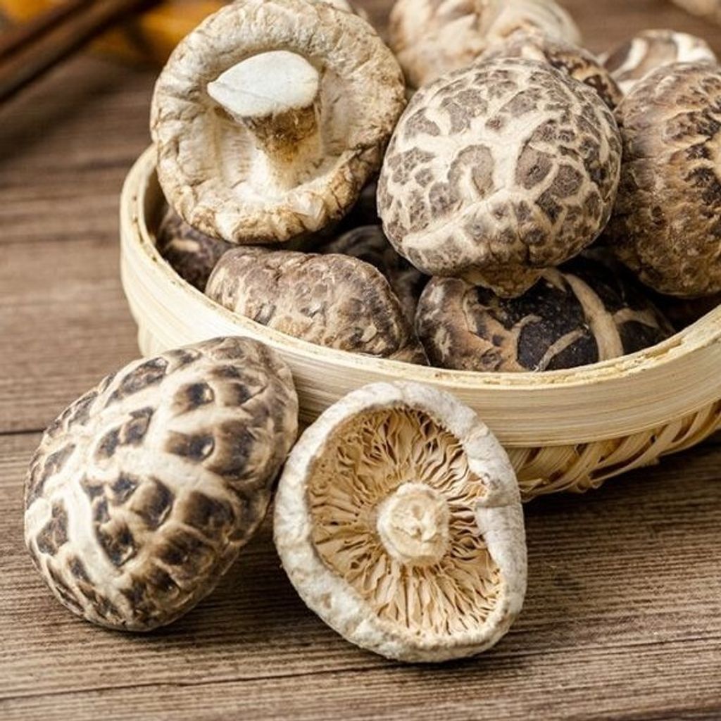 dried flower mushroom