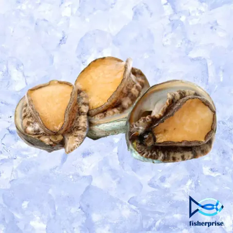 half shell abalone.jpeg