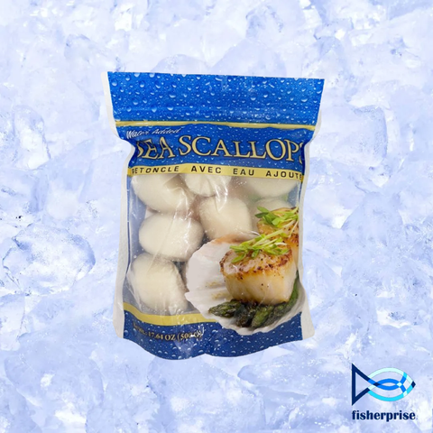 canadian scallop