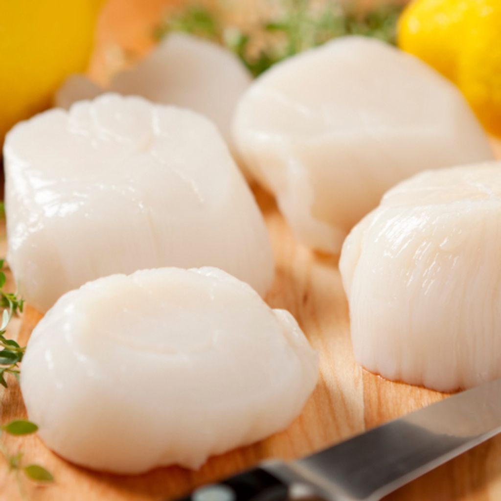 scallops meat