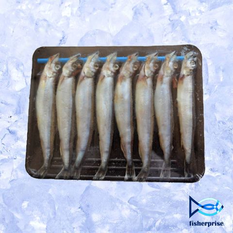 Capelin Fish (Shishamo) 多春鱼 (150g)