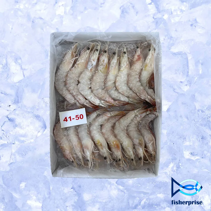 crystal prawn 41-50