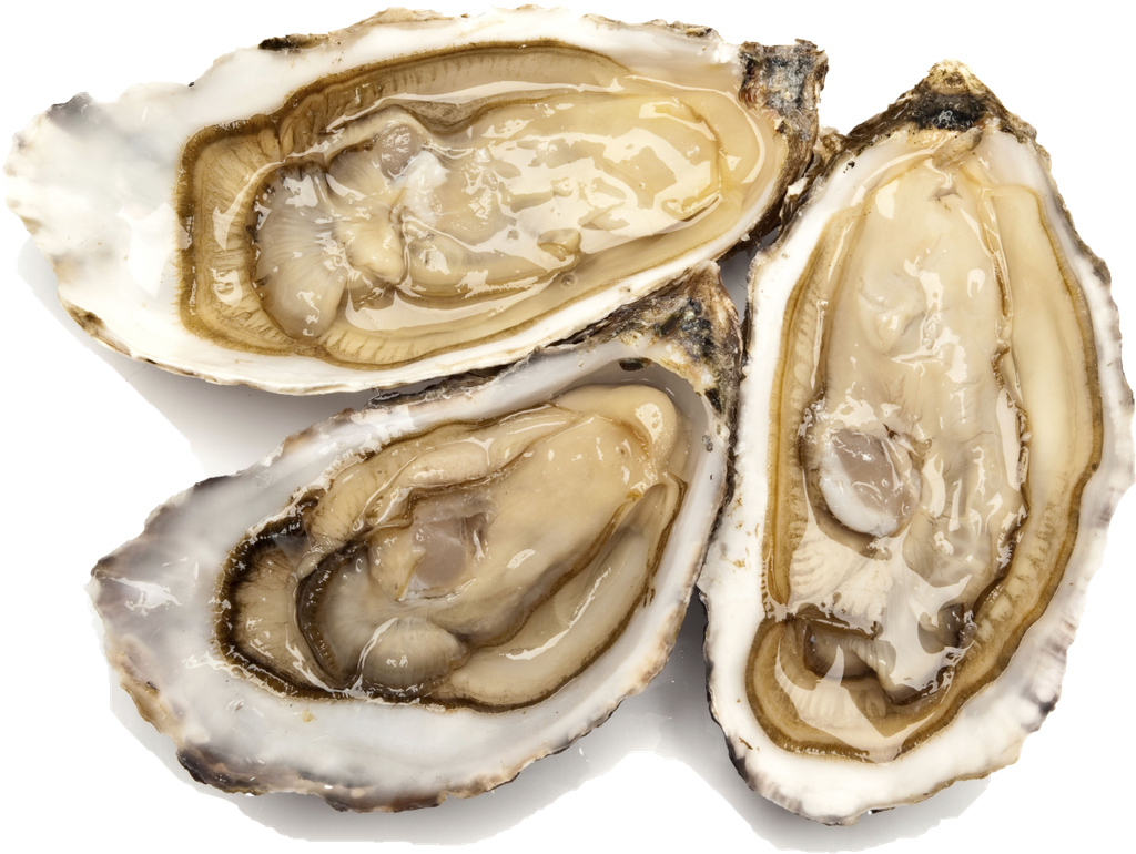 sashimi oyster