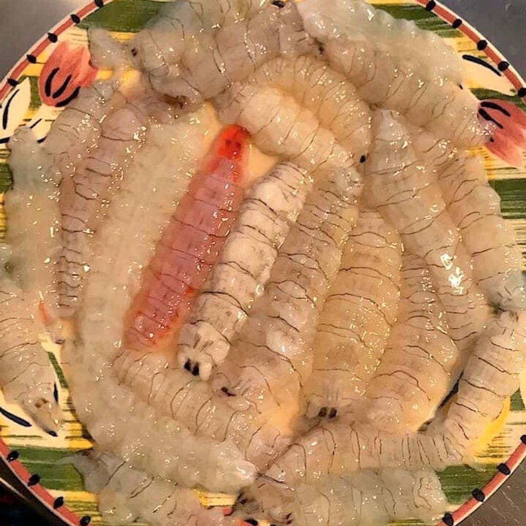 mantis prawn