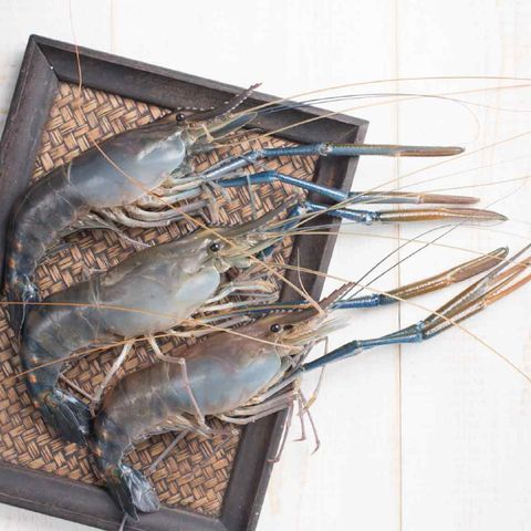 Frozen Scampi U5 大头虾 (200~300g)