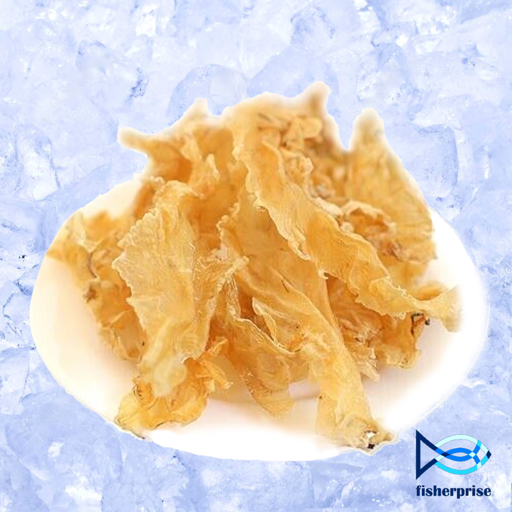 New Zealand Fish Maw