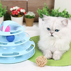 FebuLuv | CATALOG - PET NECESSITIES