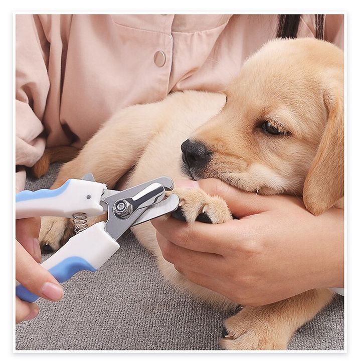 CUT1.jpg
