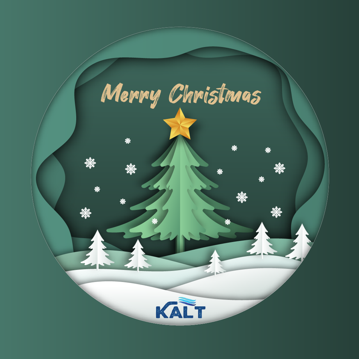 Merry Christmas!!!