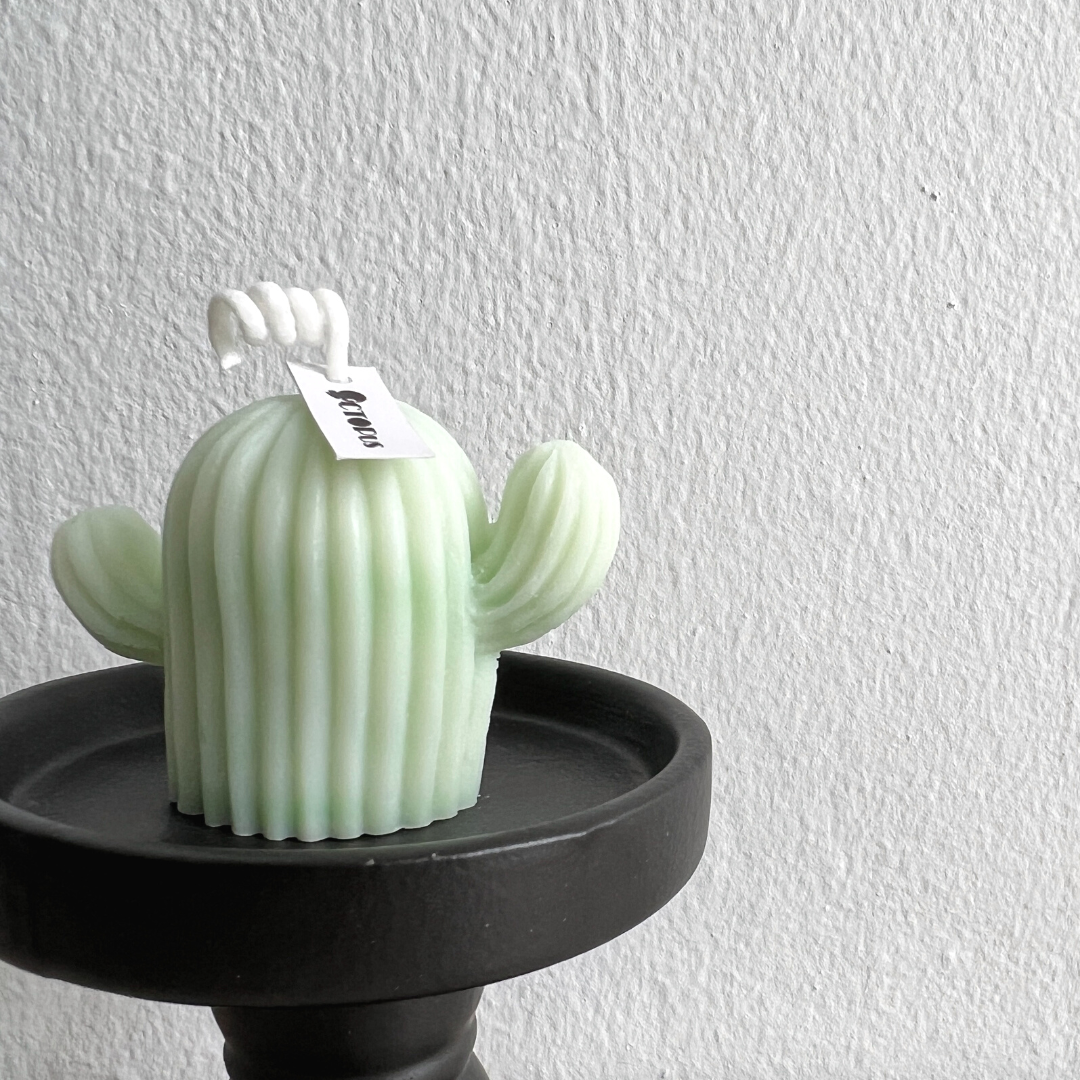 00_Cactus _ Decorative Collection Scented Candle (a)