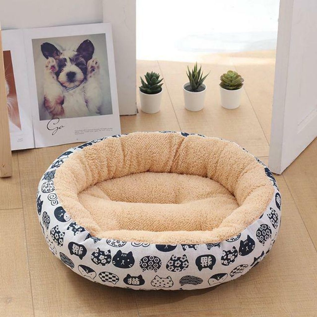 How Can I Keep My Dogs Bed Warm