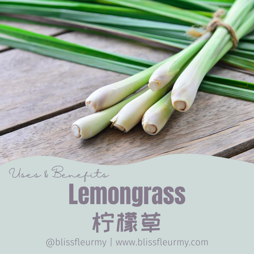 【精油简介 | 功效大全和好处】柠檬草 Lemongrass Pure Essential Oil Intro, Uses & Benefits | Shop for Natural Essential Oils Online in Malaysia