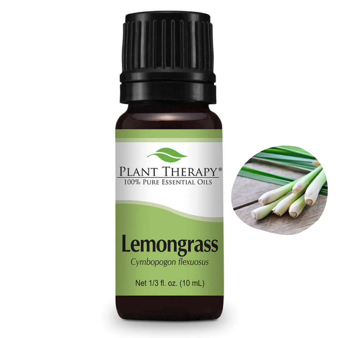 PT004 Lemongrass.png