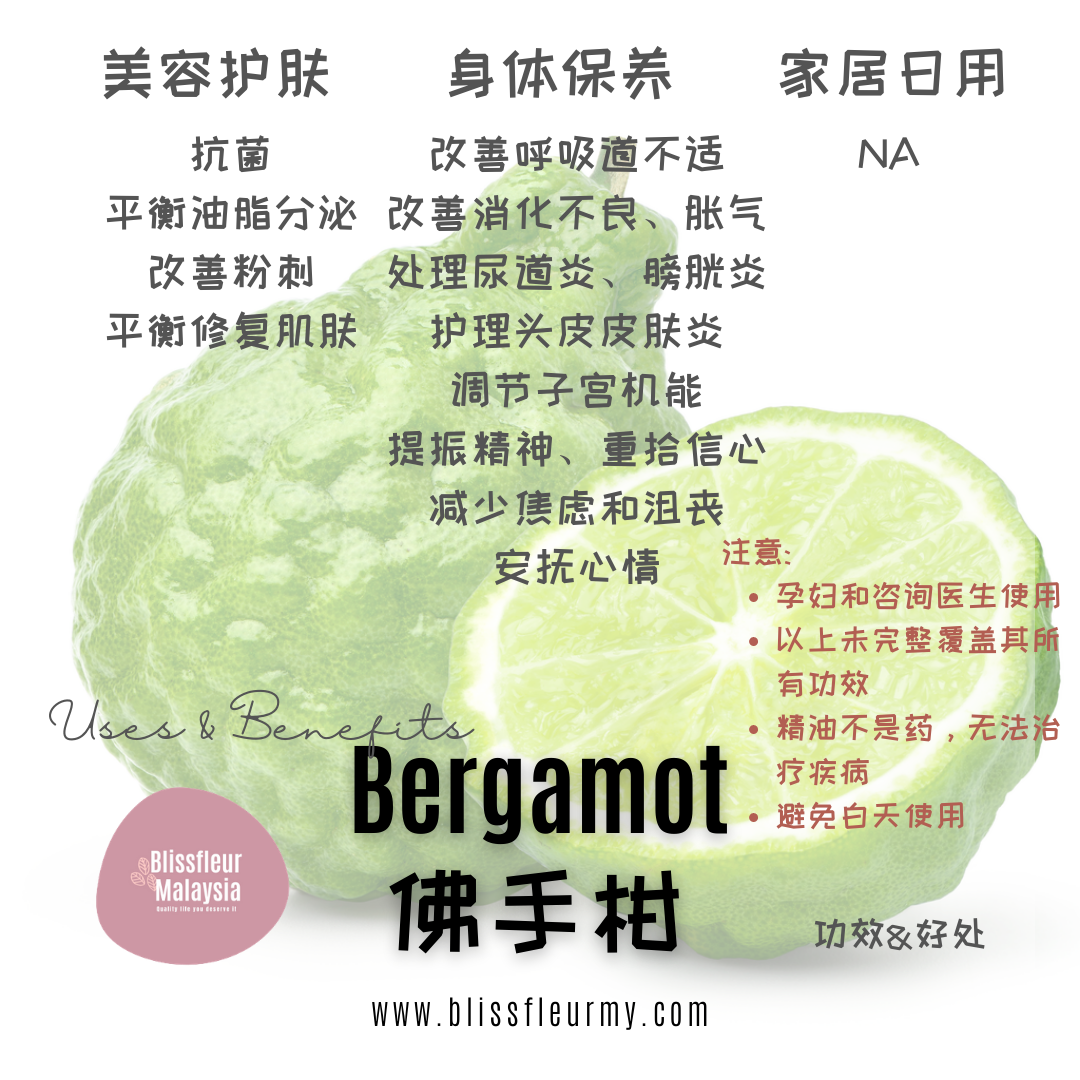 Bergamot - Uses & Benefits of Essential Oil - Bergamot 2.png
