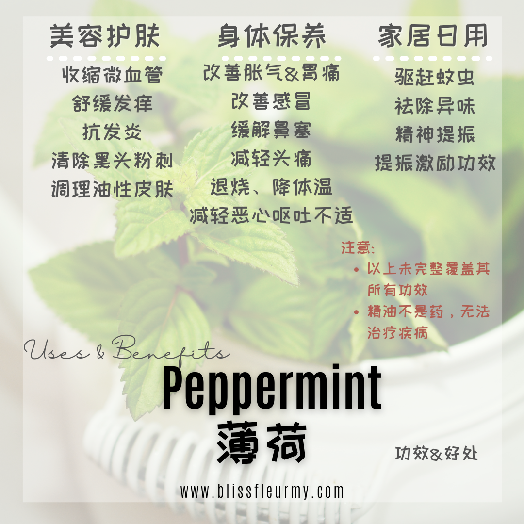 Peppermint - Uses & Benefits of Essential Oil - Peppermint 2.png