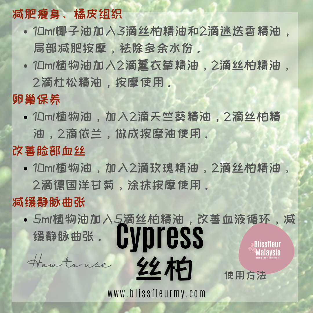 Cypress - How to use Essential Oils.png