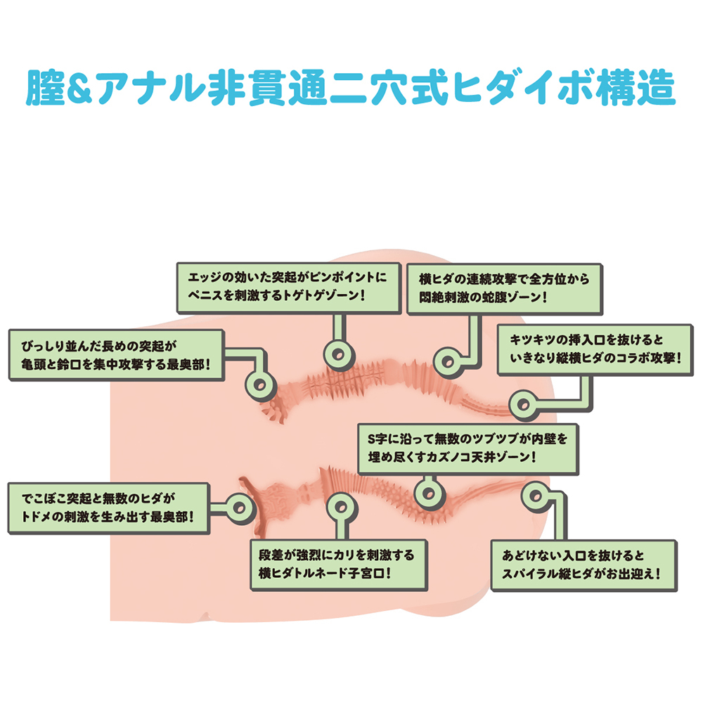 放大