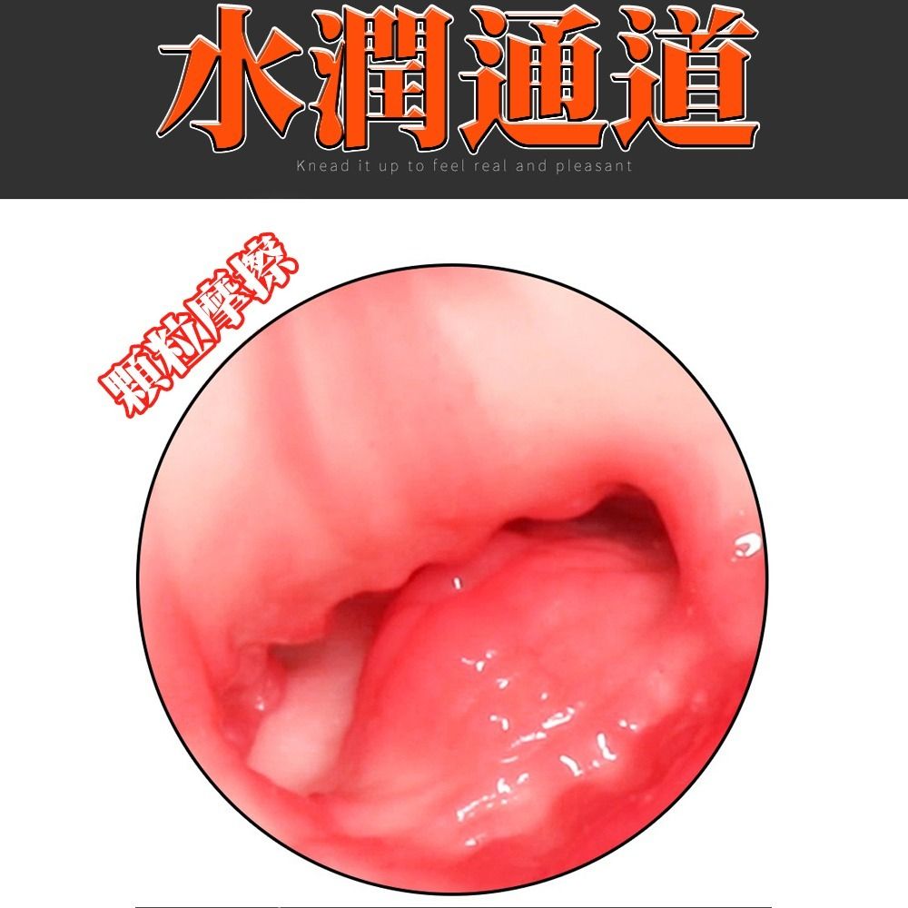 08_內容_source_08_01