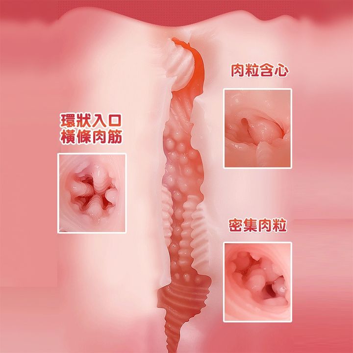 02_內容_source_02_01