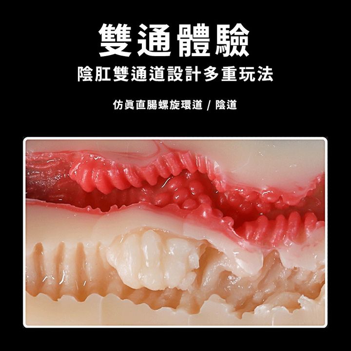 02_內容_source_02_01