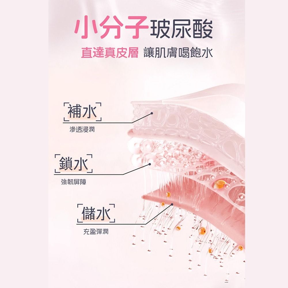03_內容_source_03_01
