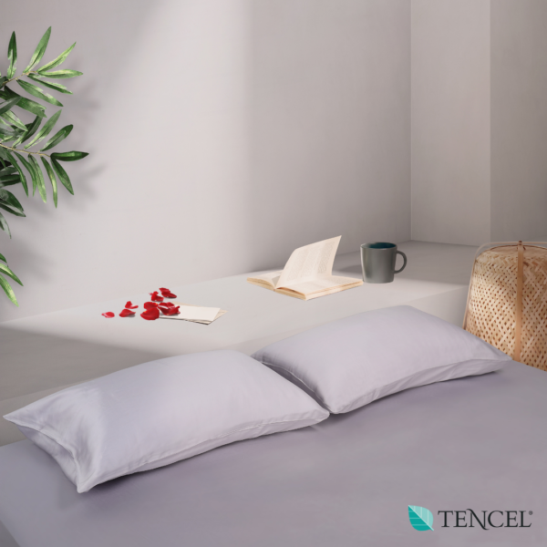 Premium Tencel Bedsheet Set 2