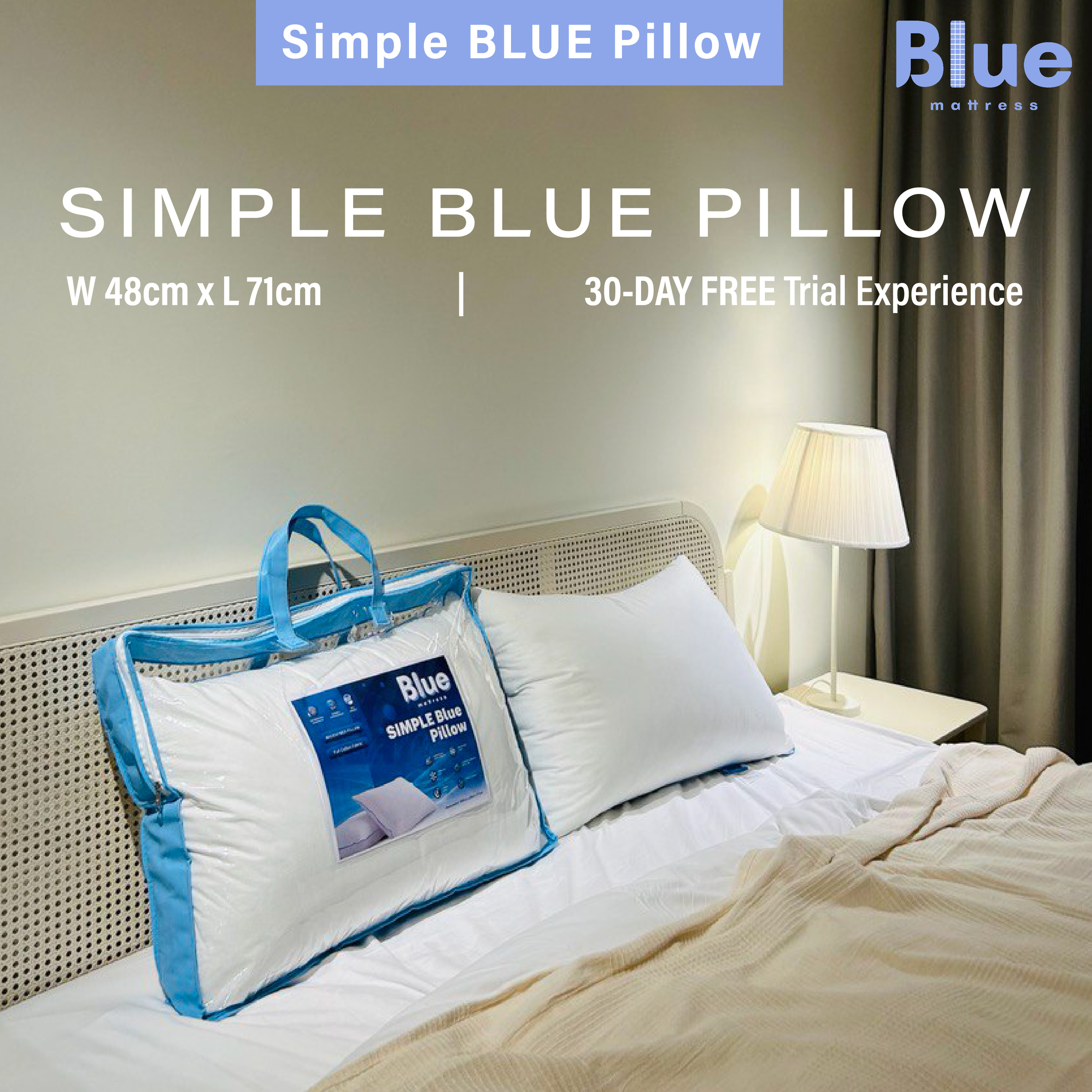 Simple Blue Pillow-16