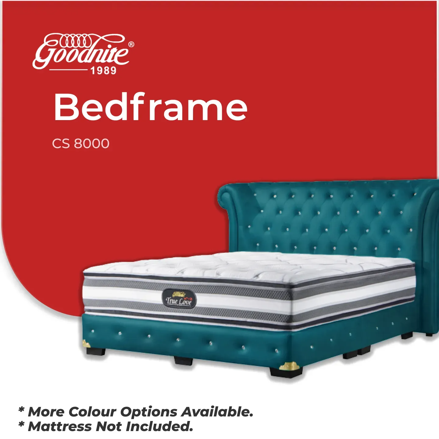 cs8000 (5)