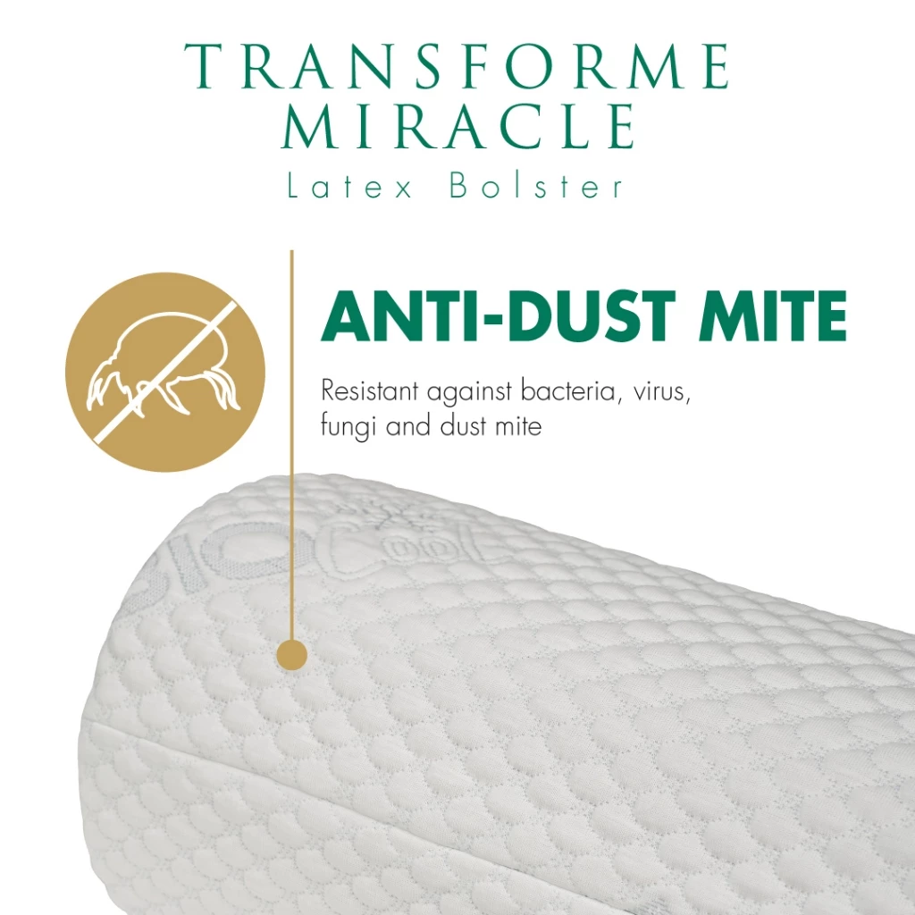 Getha Transforme Miracle Latex Bolster (3)