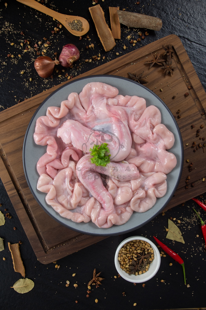 Intestine.png