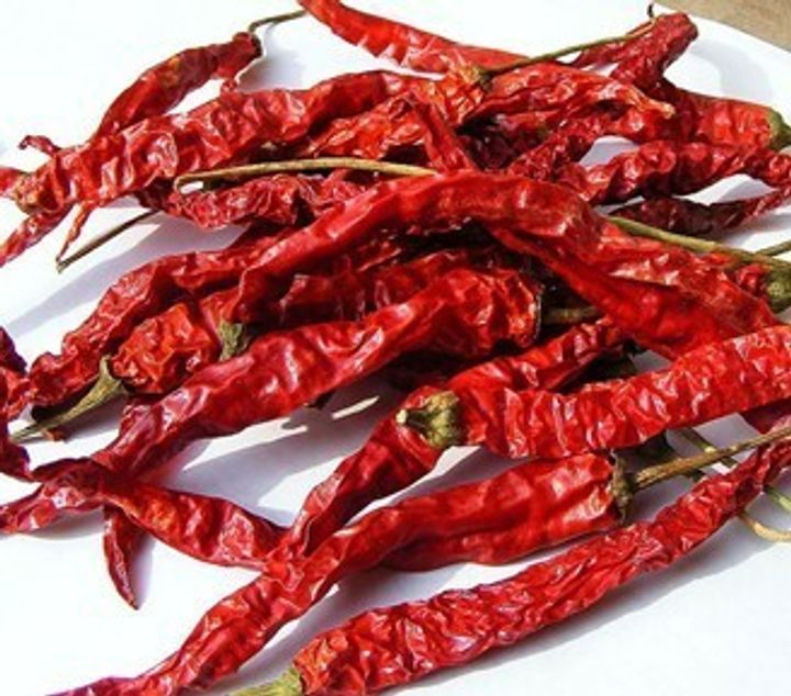 driedchiLi.jpg