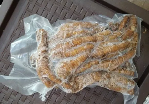 e25435f8-4c6a-4dff-be52-1722d46a4966