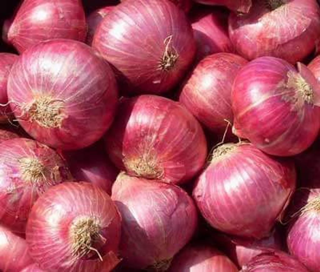 onion-500x500.jpg