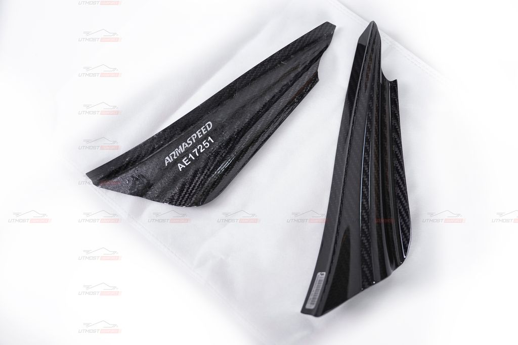 ARMASPEED CANARD DRY CF 4