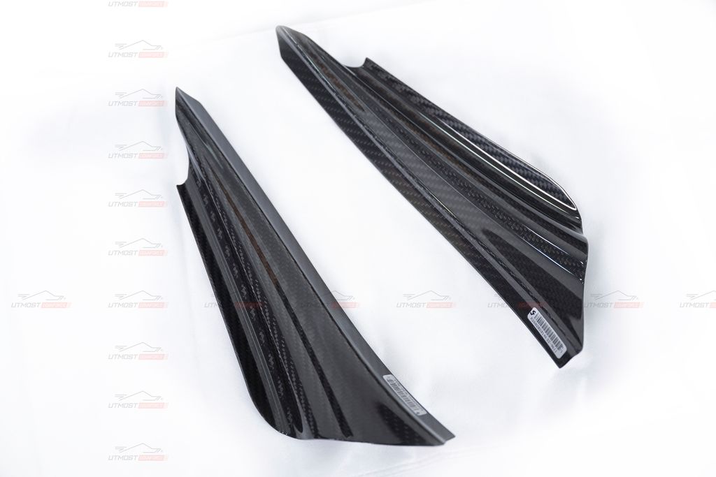 ARMASPEED CANARD DRY CF 2