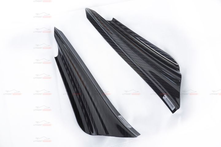ARMASPEED CANARD DRY CF 2