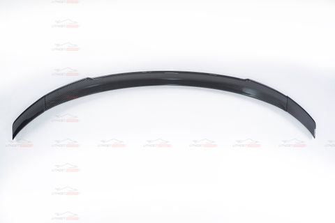 PAKTECHZ SPOILER DRY CF 1