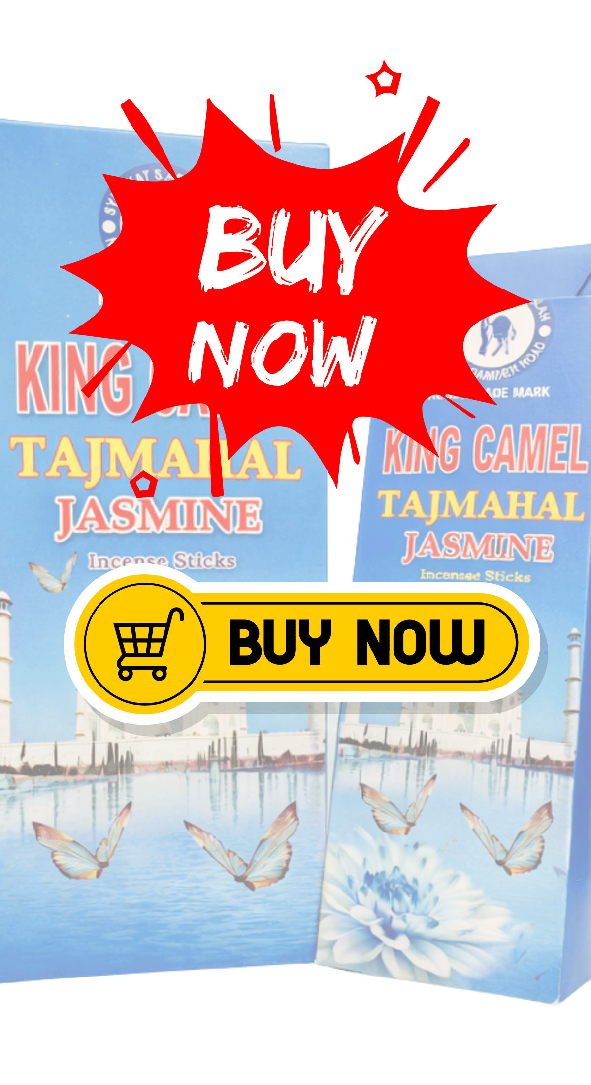 BUY NOW