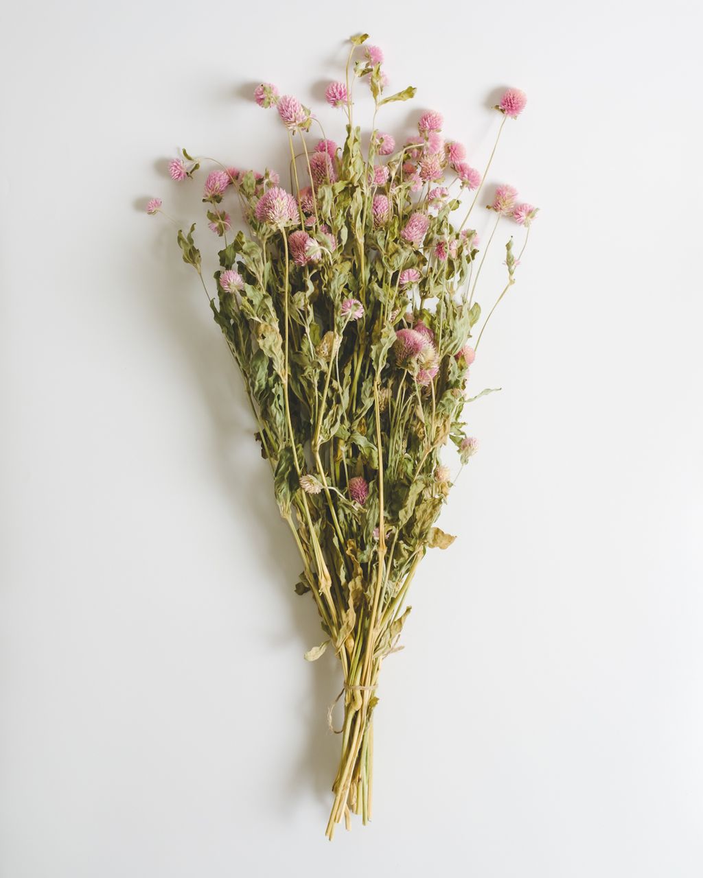 粉色千日紅 束 永恆 不變的愛 Cheese Super 乳酪超市